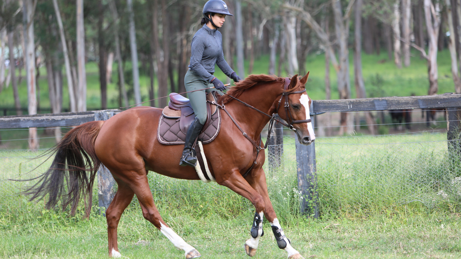 FLATWORK FOR JUMPERS