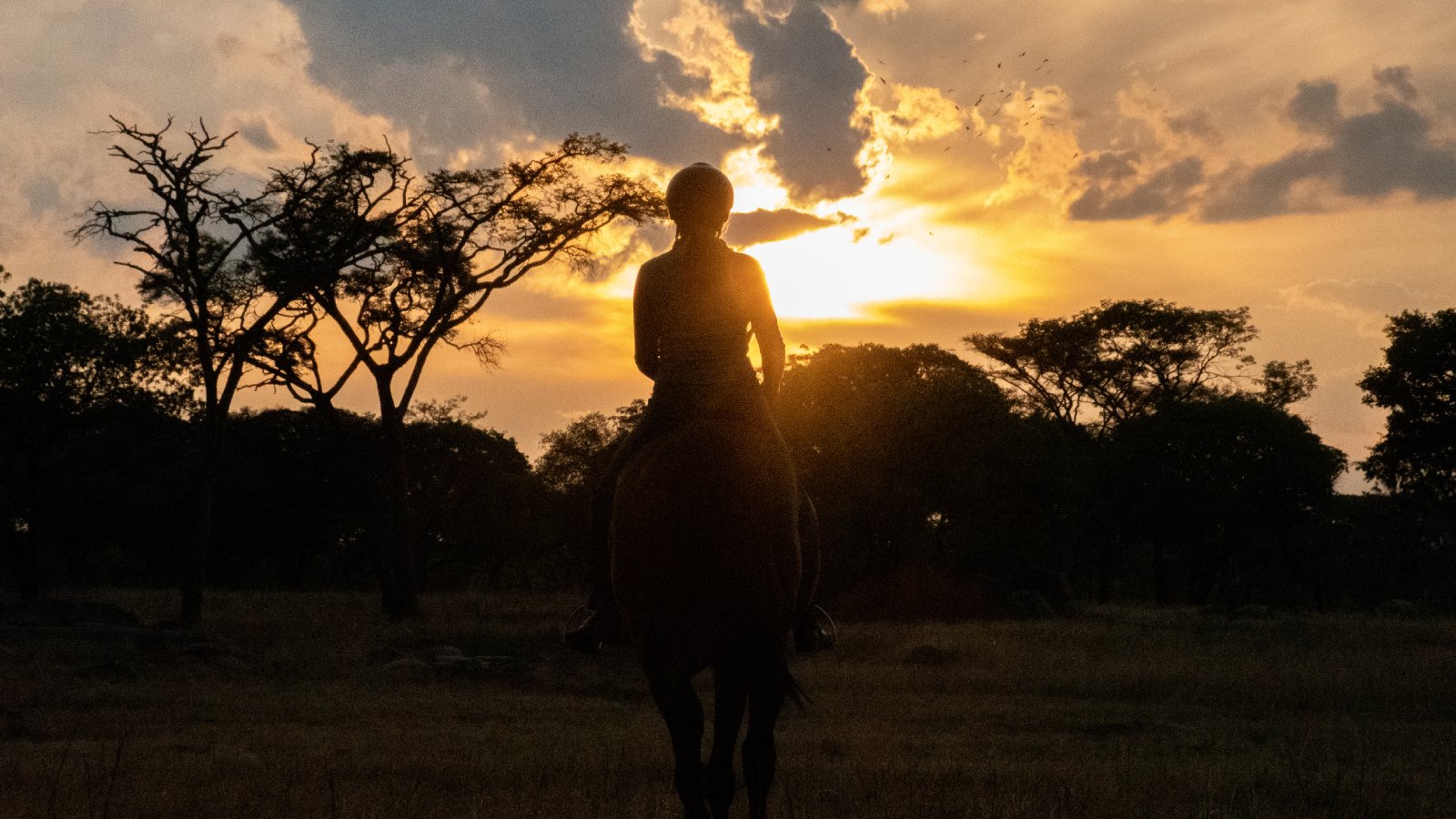 AFRICA IS CALLING YOU