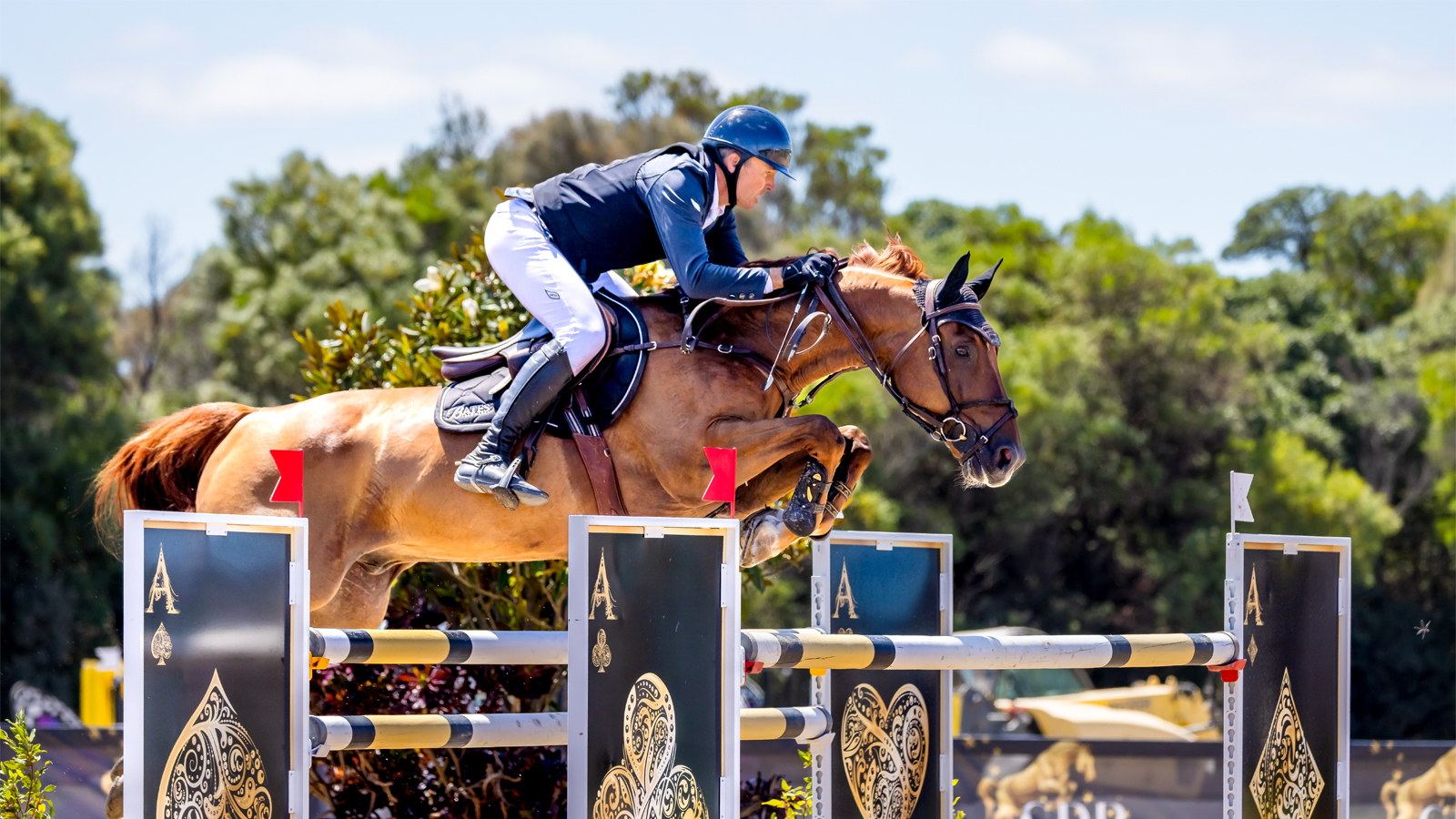 SAM OVERTON & ‘ED’ ON A NEW HIGH