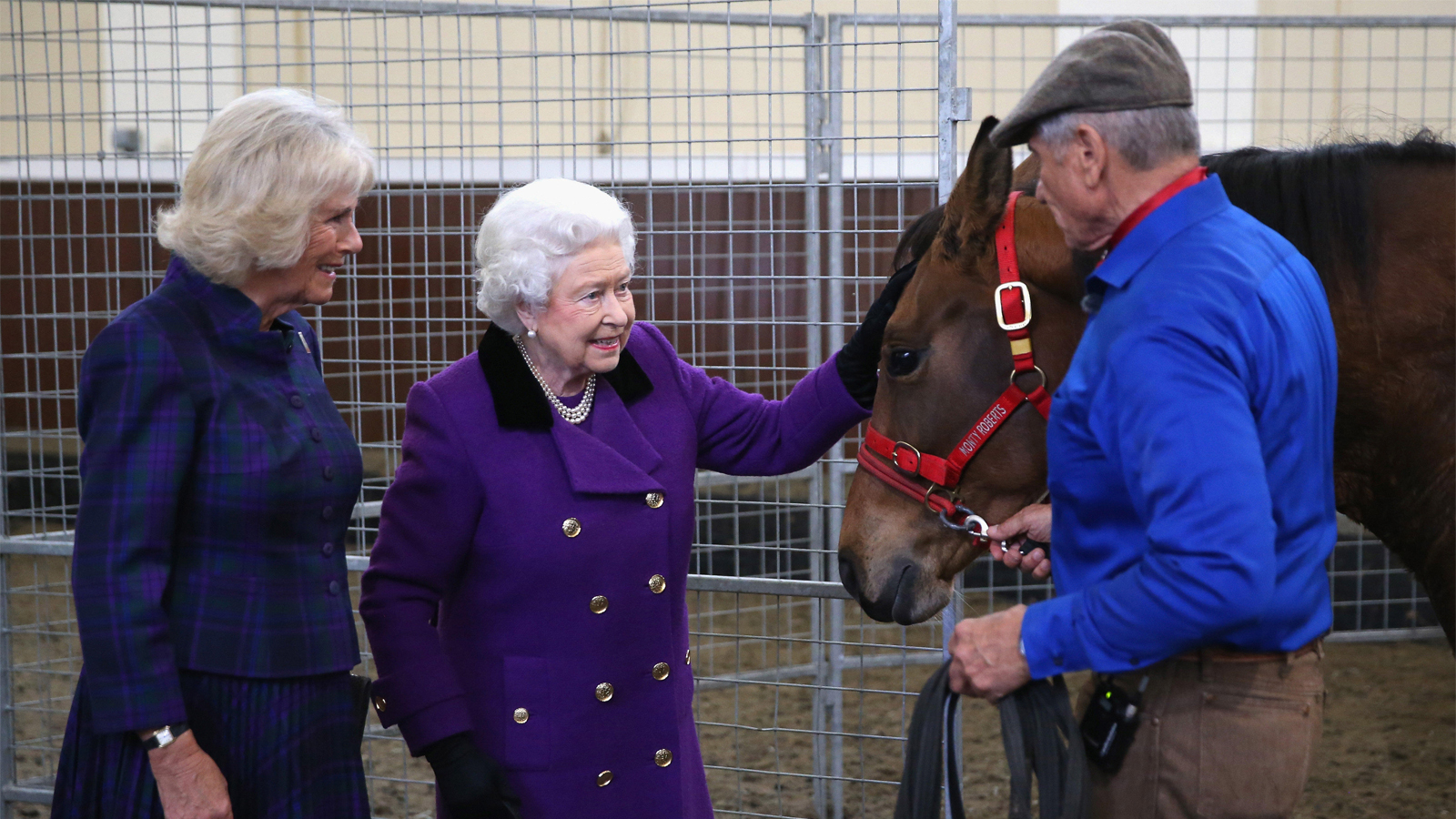 THE COWBOY AND THE QUEEN & QUEENS AND COWBOYS!