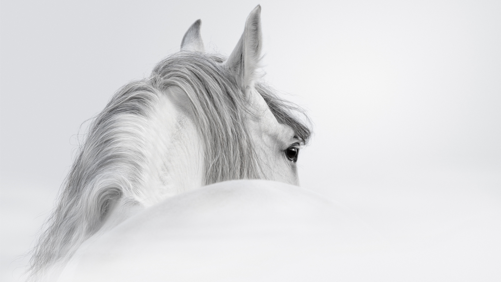 Magazine Banner Image