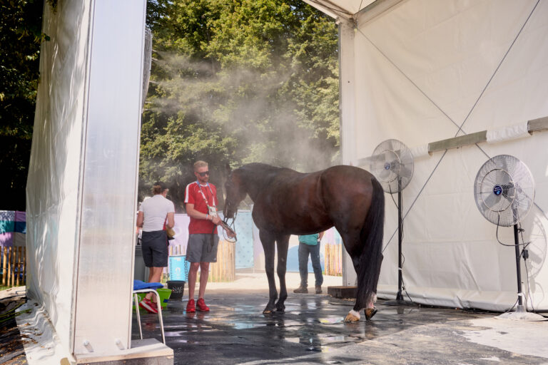 Cooling stations were set up across the Paris 2024 Olympic equestrian venue at Versailles, equipped with cold water, ice, and personnel ready to assist horses with immediate cooling needs. © FEI/Liz Gregg