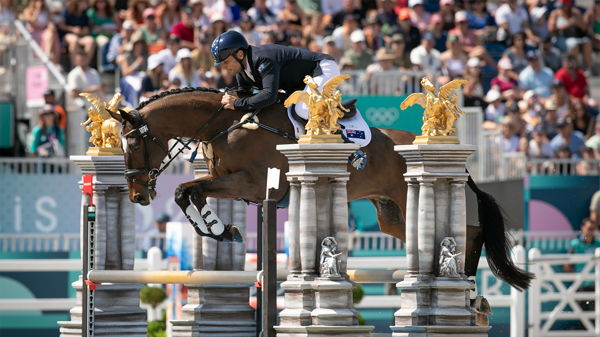 FROM PONY CLUB TO THE OLYMPICS