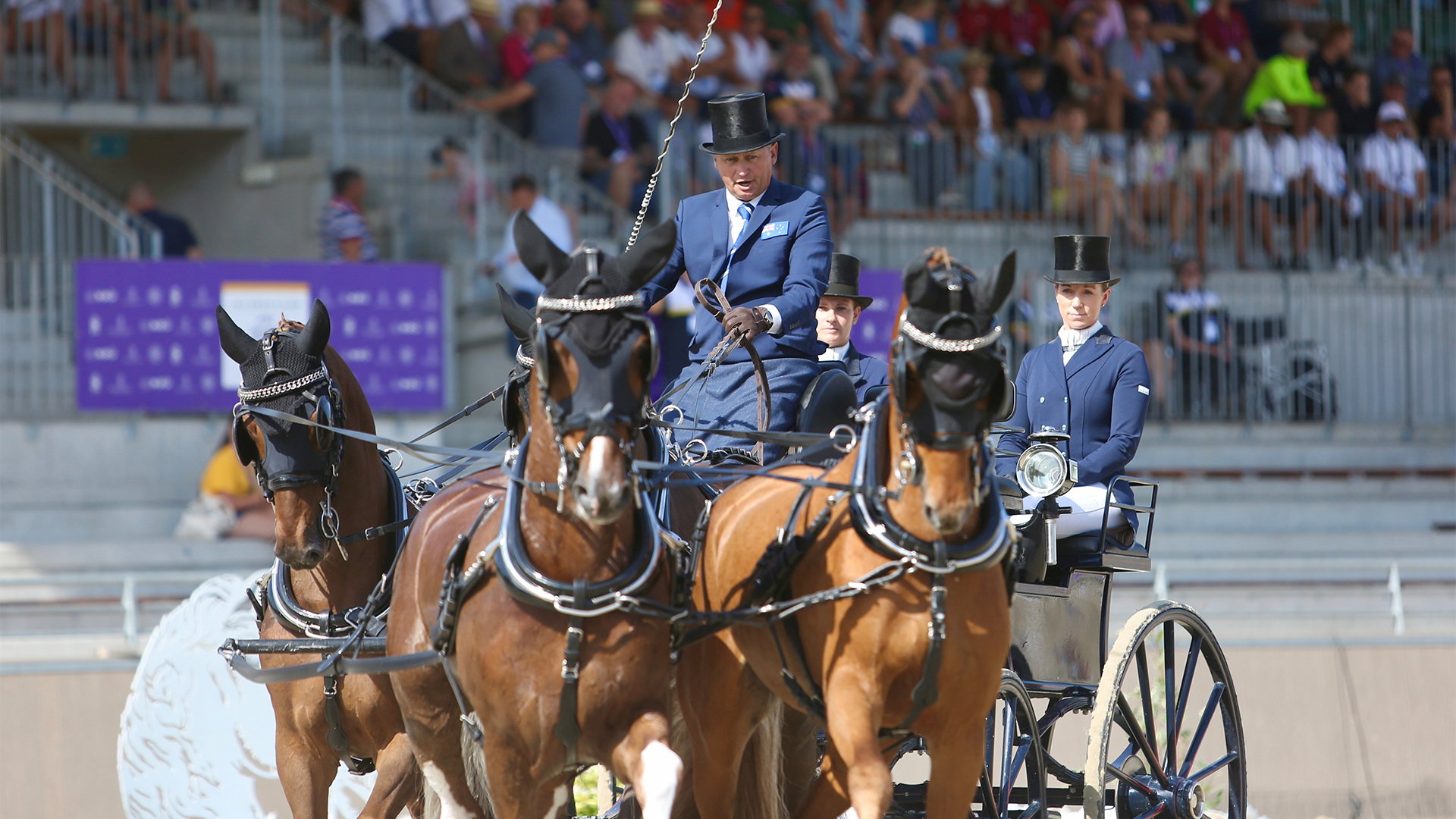 TOR VAN DEN BERGE & THE POWER OF TEAMWORK