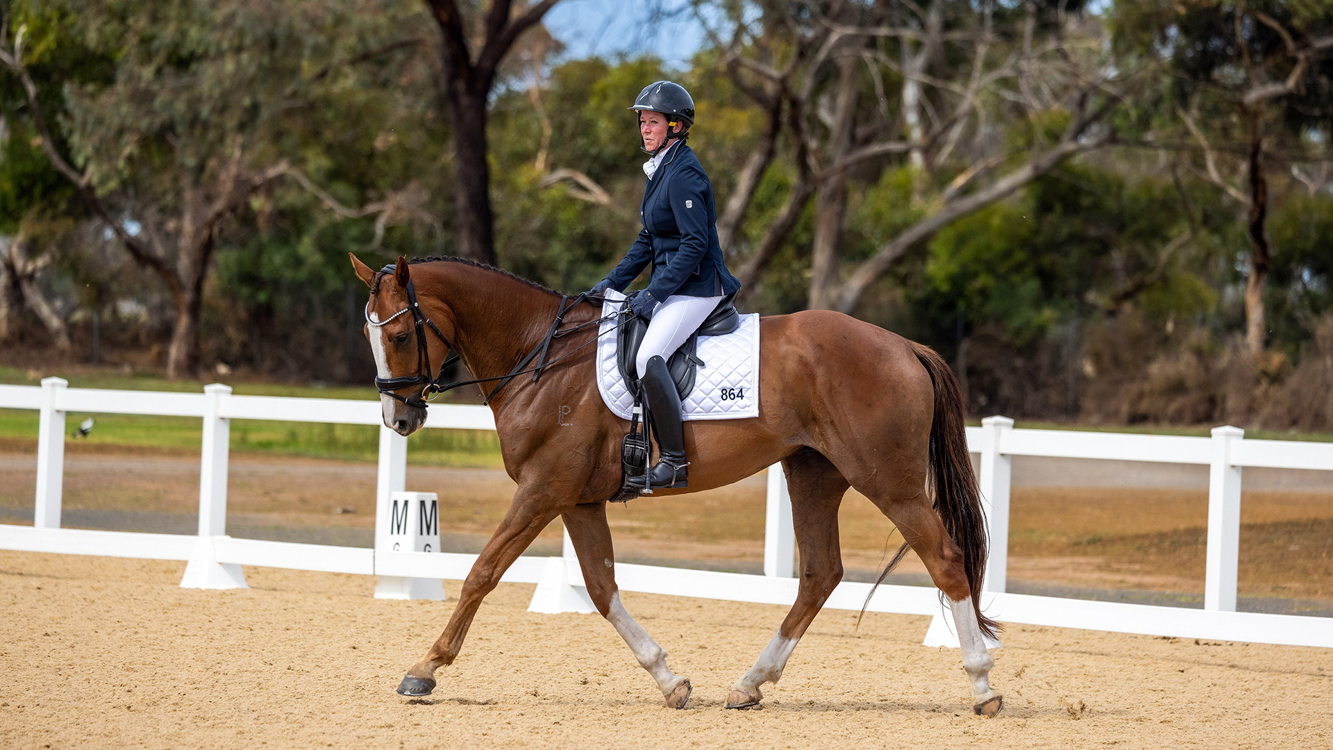 ‘BANKSY’ A NATURAL ARTIST IN DRESSAGE